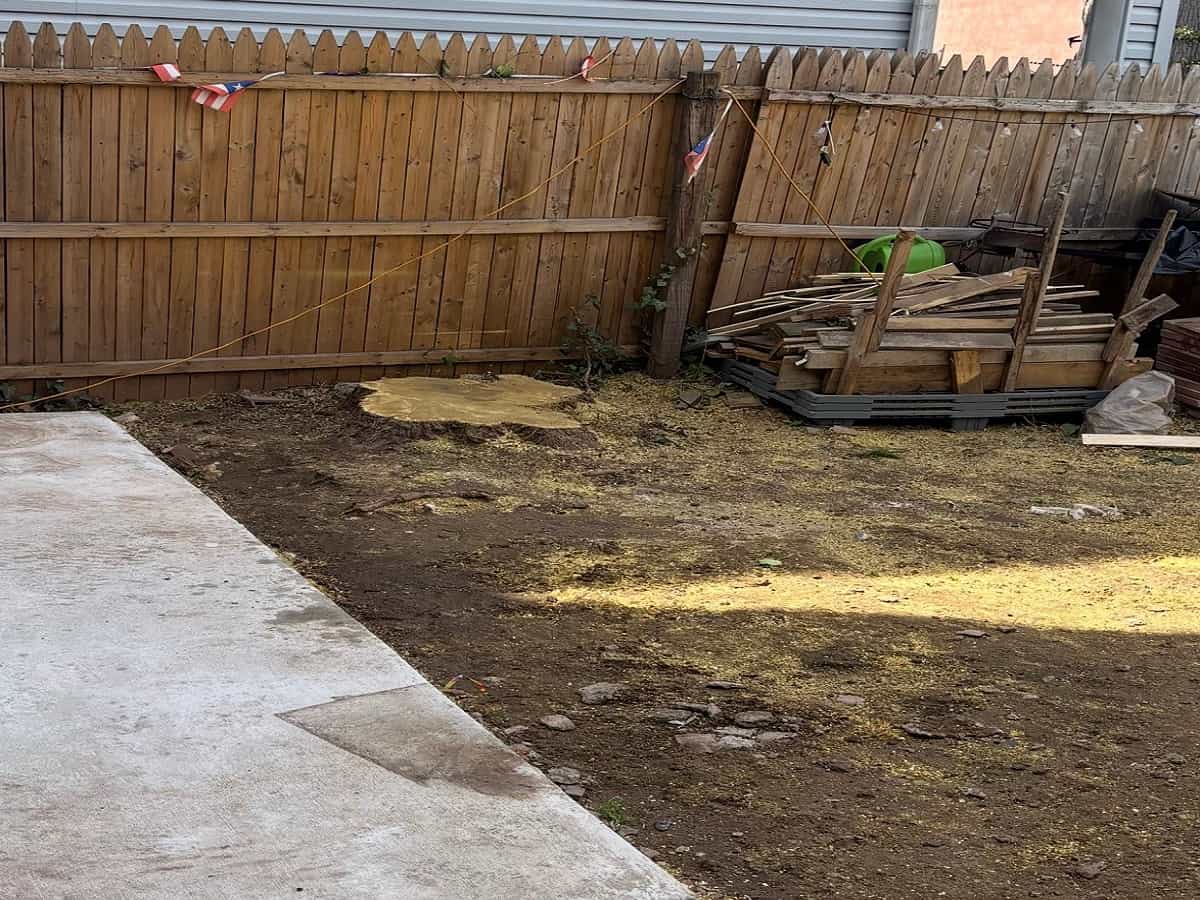 Lot Cleaning