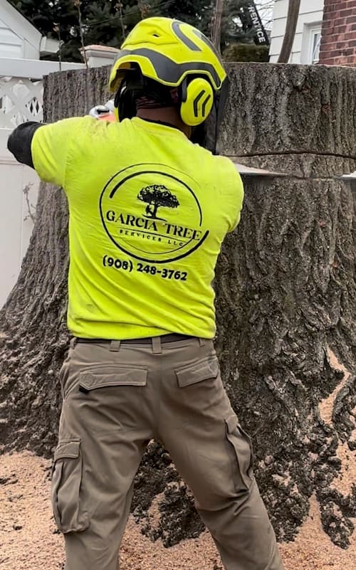 Passaic, NJ, Garcia Tree Services LLC