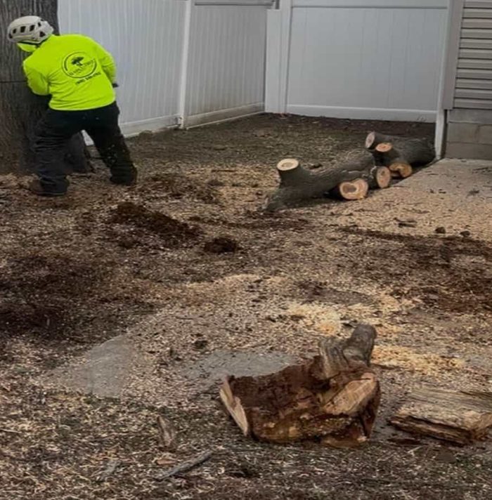 Stump Grinding