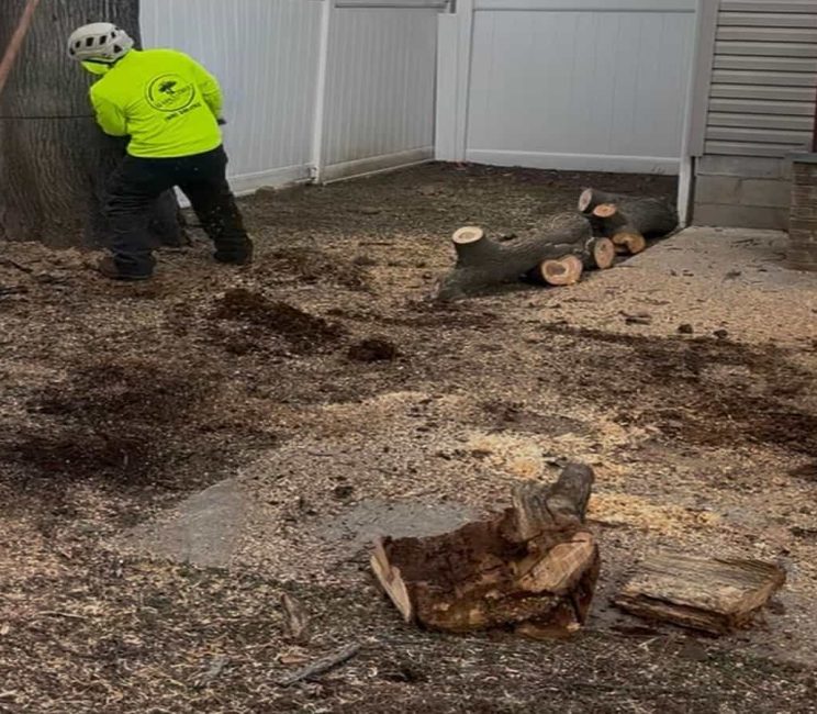 Stump Grinding
