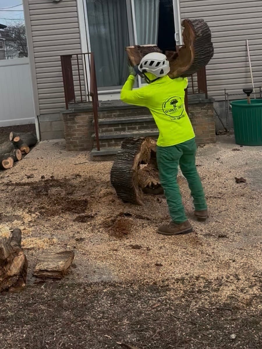Stump Grinding