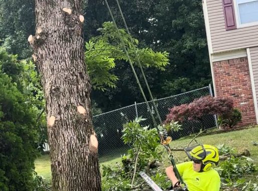 Tree Pruning