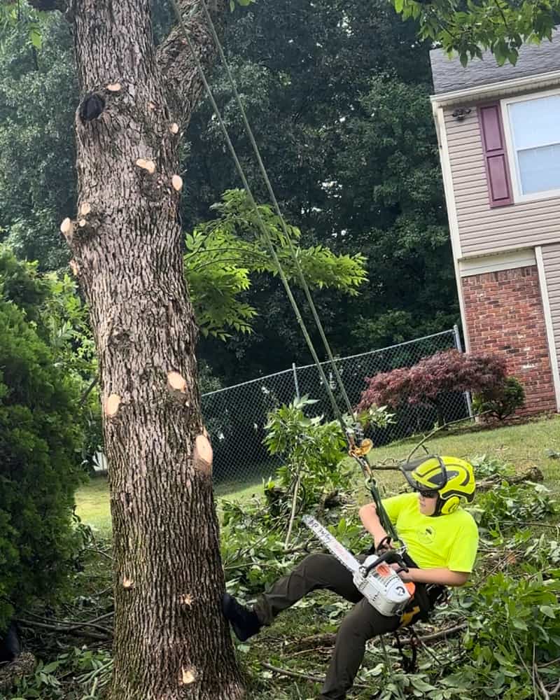 Tree Pruning