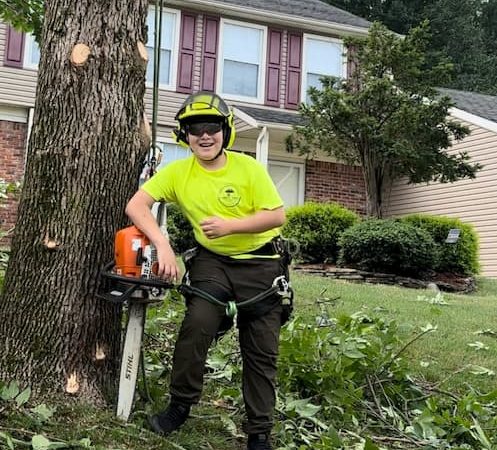 Tree Removal Services in Elizabethport, NJ