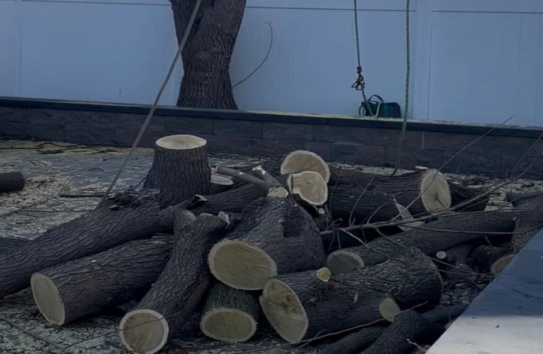 Wood Chipping & Disposal