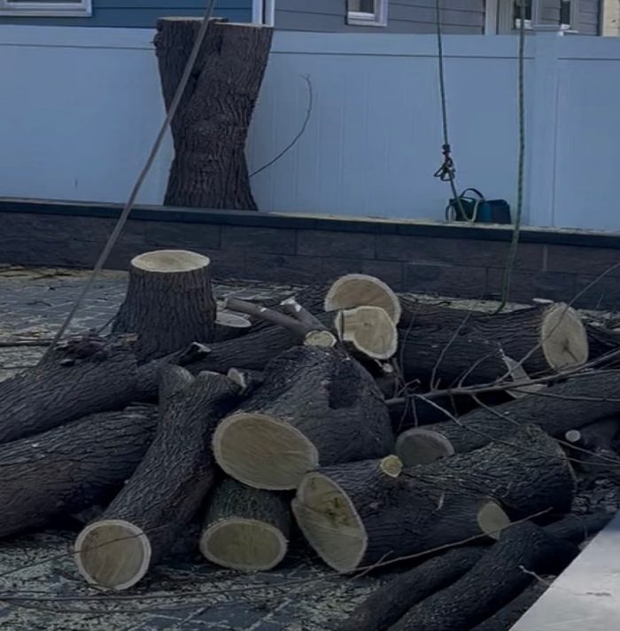 Wood Chipping & Disposal