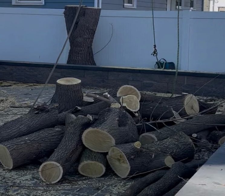 Wood Chipping & Disposal Wood Chipping & Disposal
