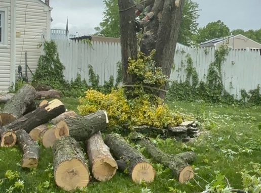 Wood Chipping & Disposal