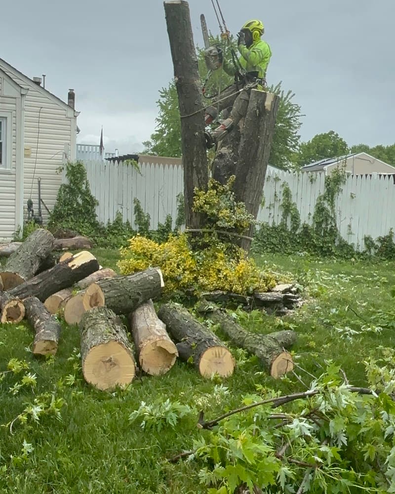 Wood Chipping & Disposal